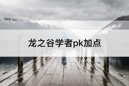 龙之谷学者pk加点