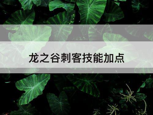 龙之谷刺客技能加点