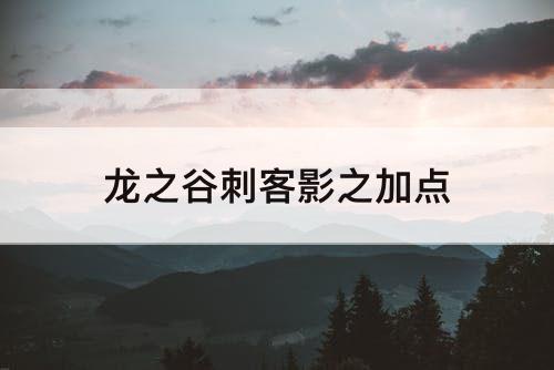 龙之谷刺客影之加点