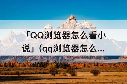 「QQ浏览器怎么看小说」(qq浏览器怎么看小说历史)