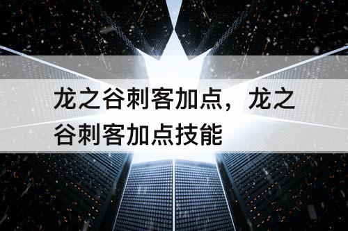 龙之谷刺客加点,龙之谷刺客加点技能
