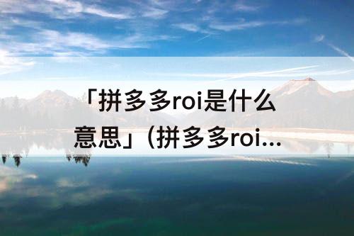 「拼多多roi是什么意思」(拼多多roi是什么意思怎么算)