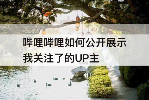 哔哩哔哩如何公开展示我关注了的UP主