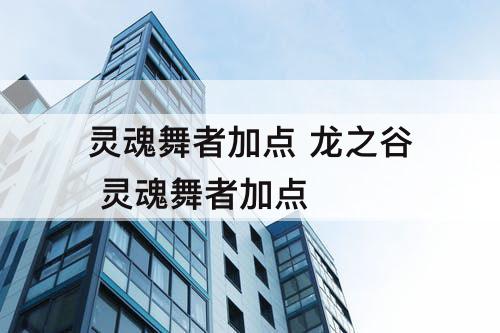 灵魂舞者加点 龙之谷 灵魂舞者加点