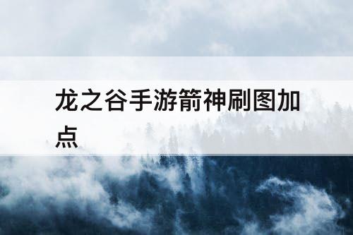 龙之谷手游箭神刷图加点