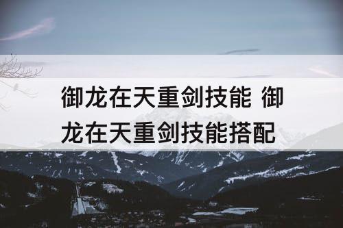 御龙在天重剑技能 御龙在天重剑技能搭配