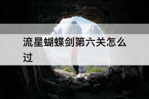 流星蝴蝶剑第六关怎么过