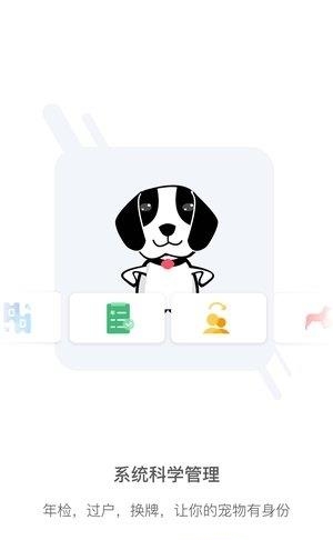 智宠宝