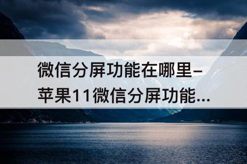 微信分屏功能在哪里-苹果11微信分屏功能在哪里