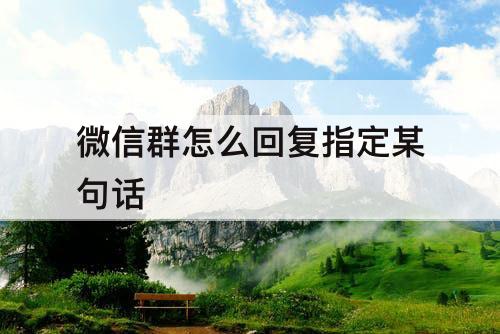 微信群怎么回复指定某句话