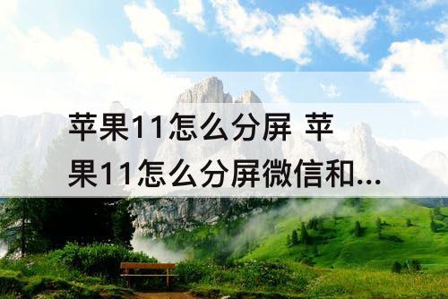 苹果11怎么分屏 苹果11怎么分屏微信和微信读书