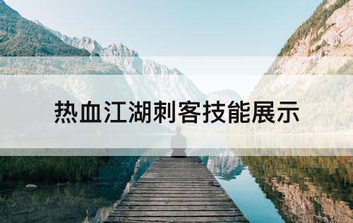 热血江湖刺客技能展示