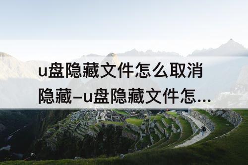 u盘隐藏文件怎么取消隐藏-u盘隐藏文件怎么取消隐藏win11