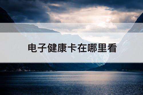 电子健康卡在哪里看