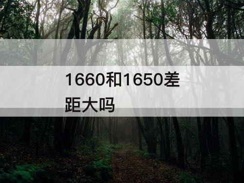 1660和1650差距大吗