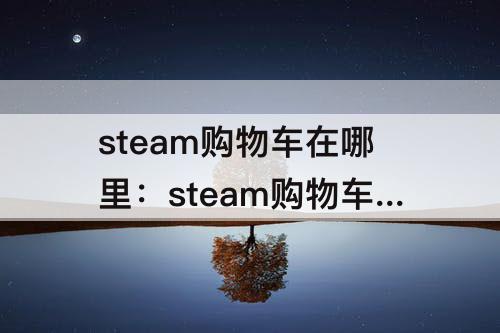 steam购物车在哪里：steam购物车在哪里看