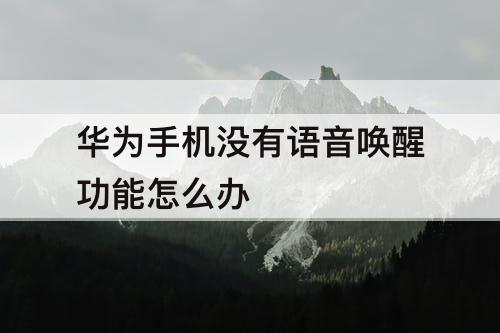 华为手机没有语音唤醒功能怎么办