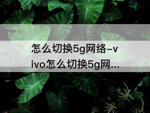 怎么切换5g网络-vivo怎么切换5g网络
