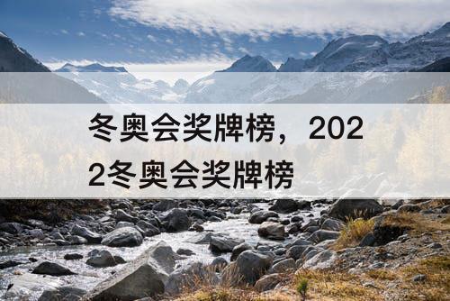 冬奥会奖牌榜，2022冬奥会奖牌榜