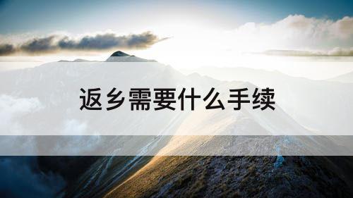 返乡需要什么手续