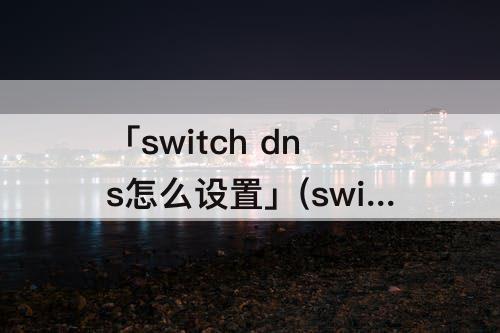 「switch dns怎么设置」(switch dns怎么设置快)
