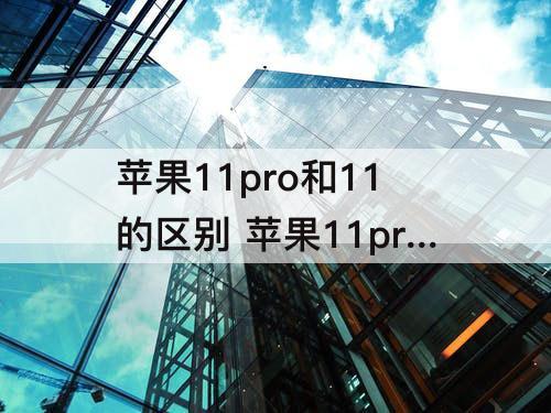 苹果11pro和11的区别 苹果11pro和11的区别电池使用哪个长点