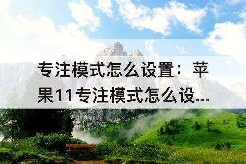 专注模式怎么设置：苹果11专注模式怎么设置爱心