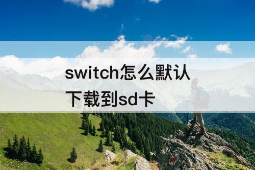 switch怎么默认下载到sd卡