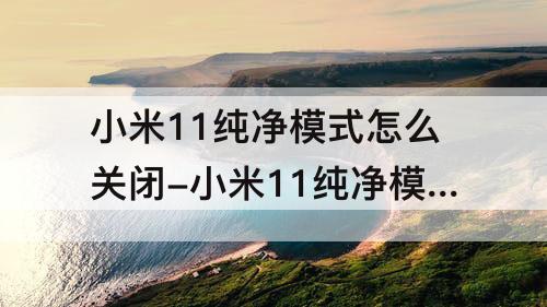 小米11纯净模式怎么关闭-小米11纯净模式怎么关闭?