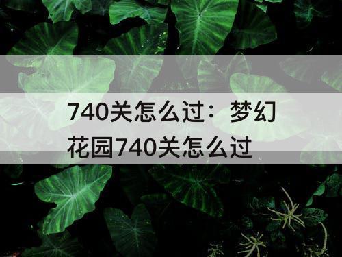 740关怎么过：梦幻花园740关怎么过