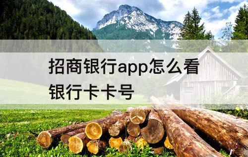 招商银行app怎么看银行卡卡号