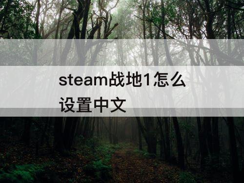 steam战地1怎么设置中文