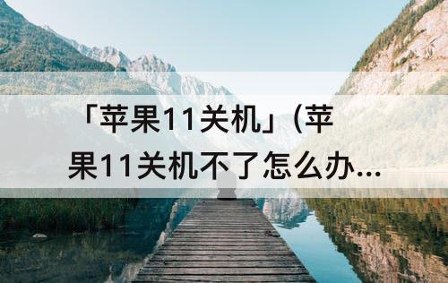 「苹果11关机」(苹果11关机不了怎么办)