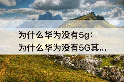 为什么华为没有5g：为什么华为没有5G其他国产厂商却有