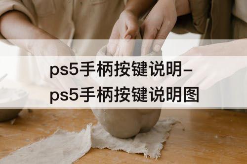 ps5手柄按键说明-ps5手柄按键说明图