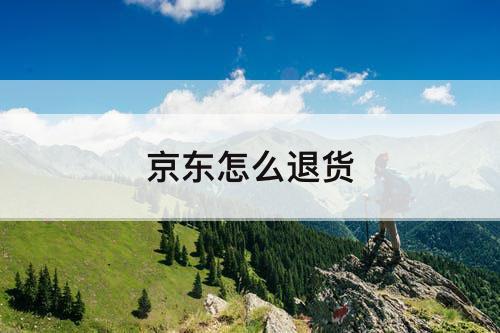 京东怎么退货