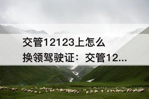 交管12123上怎么换领驾驶证：交管12123上怎么换领驾驶证需要体检吗