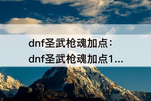 dnf圣武枪魂加点：dnf圣武枪魂加点100级