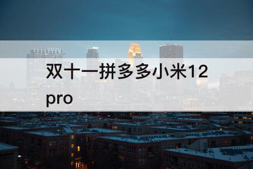 双十一拼多多小米12pro