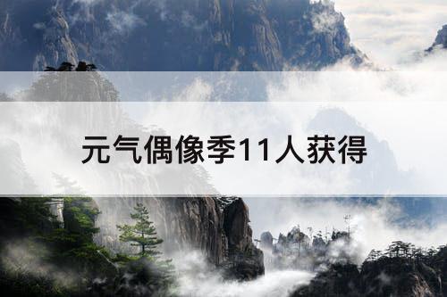 元气偶像季11人获得