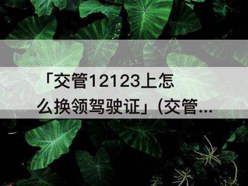 「交管12123上怎么换领驾驶证」(交管12123上怎么换领驾驶证后旧证怎么办)