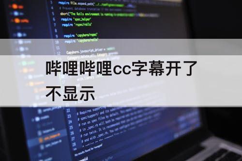 哔哩哔哩cc字幕开了不显示