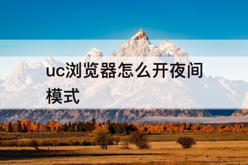 uc浏览器怎么开夜间模式