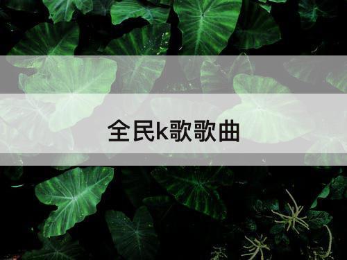 全民k歌歌曲