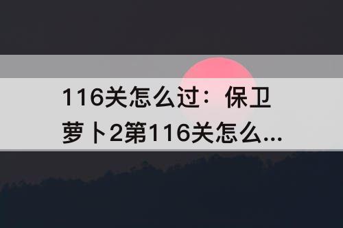 116关怎么过：保卫萝卜2第116关怎么过
