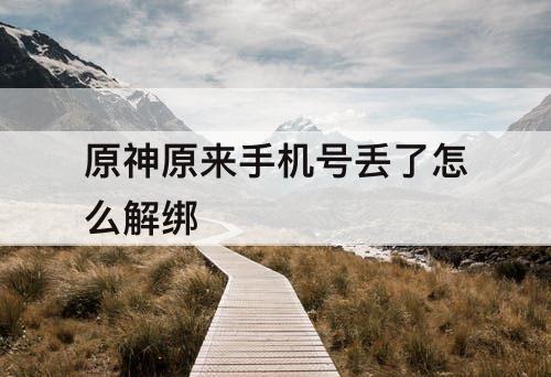 原神原来手机号丢了怎么解绑