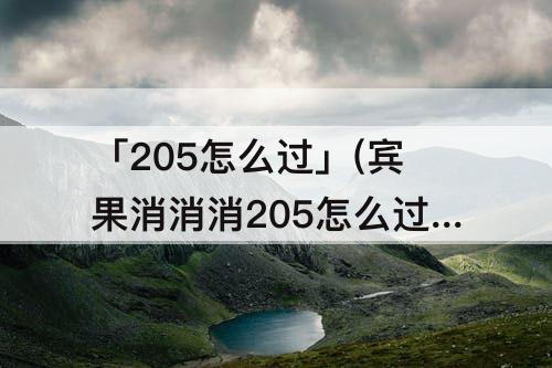 「205怎么过」(宾果消消消205怎么过)