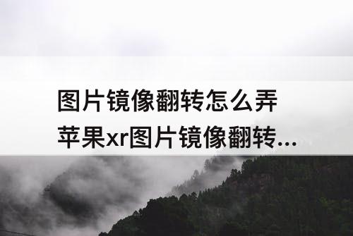 图片镜像翻转怎么弄 苹果xr图片镜像翻转怎么弄
