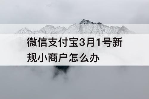 微信支付宝3月1号新规小商户怎么办