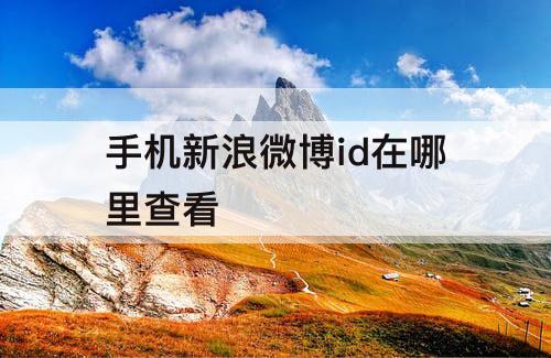 手机新浪微博id在哪里查看